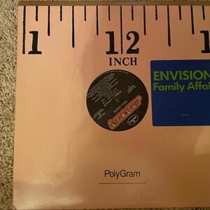ENVISION Family Affair Mercury 1989 12" Vinyl Record